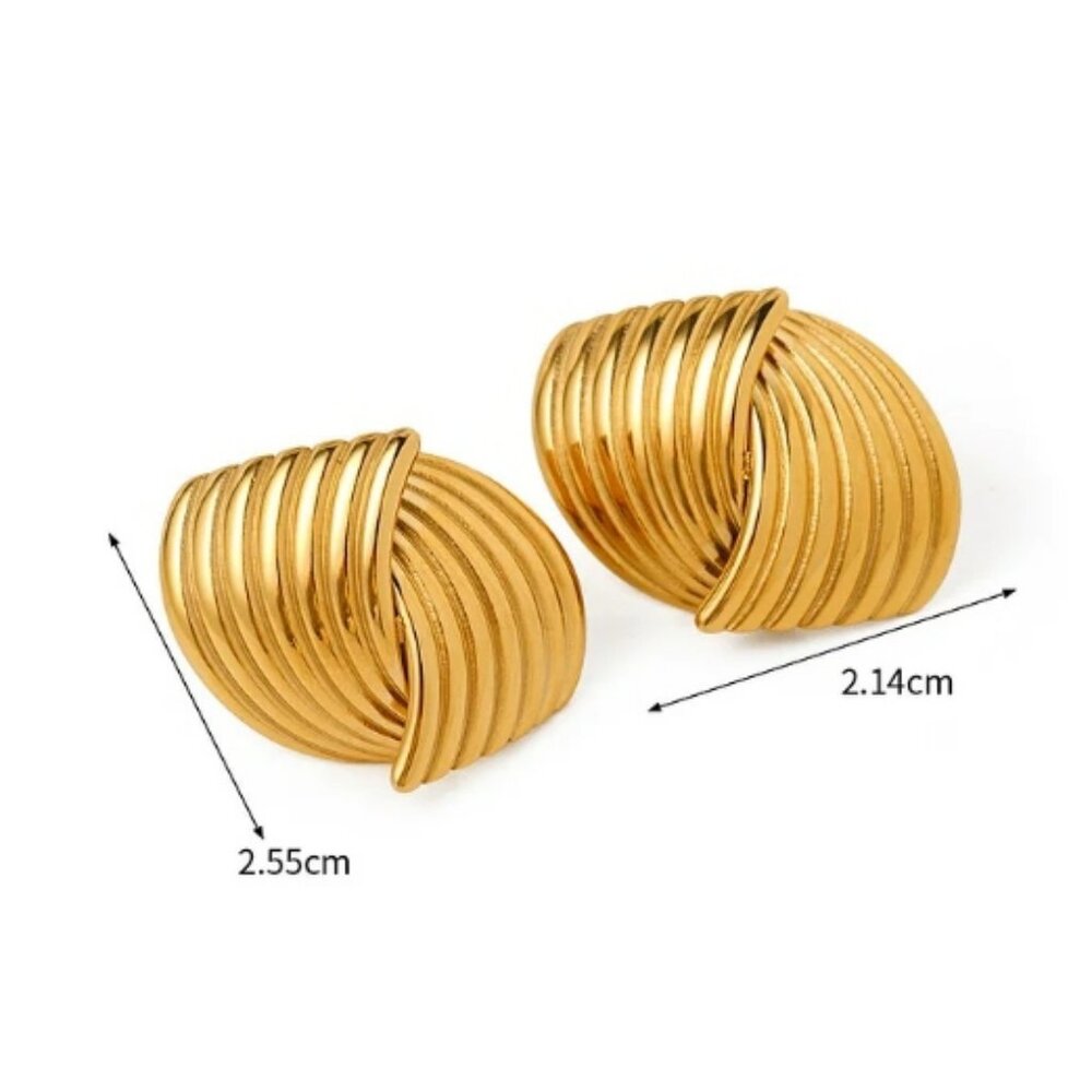 #313  Stainless Steel Geometric Earrings